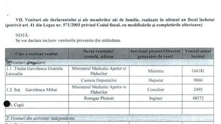 In 2015, ea a fost ministru iar sotul consilier