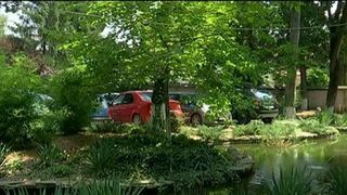 Curtea PSD devine oaza de relaxare pe timpul verii! Iata de ce au parte PSD-istii care nu au plecat in vacanta