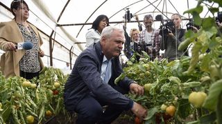 Administratorul firmei de porci din Teleorman, detinuta de fiul lui Dragnea, retinut pentru 24 de ore