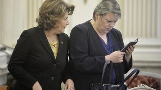 "Sevil Shhaideh si Rovana Plumb trebuiau sa demisioneze sau sa fie retrase. Personele urmarite penal nu trebuie sa fie in conducerea statului", a declarat Klaus Iohannis