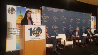 Viceprim-ministrul Ana Birchall, discurs la Washington! "Parteneriatul UE &ndash; NATO reprezintă un pilon strategic al relaţiei transatlantice"