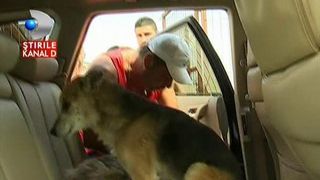 Dulaii care au atacat-o pe Andreea Marin au ajuns la o casa noua