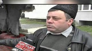 Teroare in Arges. Un urs vandalizeaza masinile oamenilor si face ravagii in sat