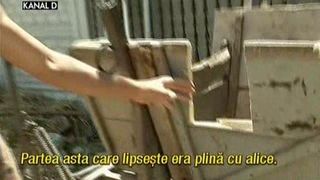 Scandal ca in filmele cu mafioti. 95 de urme de alice au gasit doctorii intr-un barbat, dupa o cearta cu un vecin