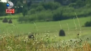 Ati fost aici? Imprejurimile de poveste din Codrii de Arama sau Padurea de Argint