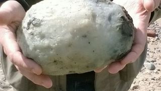 Au gasit un bolovan pe plaja si au scapat de saracie! Cat costa piatra imensa si ce e in realitate