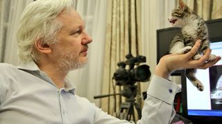 Fondatorul Wikileaks a primit cadou o pisică pentru a-i ţine companie! Julian Assange locuieste de 4 ani in ambasada Ecuadorului la Londra