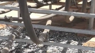 O maimuta a provocat un incident de proportii colosale in Kenya! Maimuta a cazut pe un transformator dintr-o hidrocentrala, accident ce a dus la o pana de curent nationala