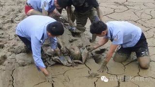 Momente dramatice. Au vazut doua maini iesind din noroi, iar cand s-au apropiat au avut parte de un soc: Un batran era inghitit de 12 ore de pamant