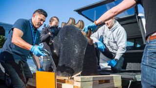 Noua Zeelanda: 35 de kilograme de cocaina ascunse intr-o sculptura incrustata cu diamante