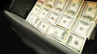 Grecia va recruta c&acirc;ini antrenaţi să miroasă bani pentru a-i găsi pe evazioniştii fiscali