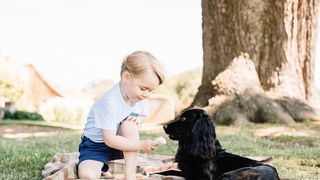 Printul George al Marii Britanii implineste azi 3 ani. Familia Regala a publicat noi fotografii ale micutului