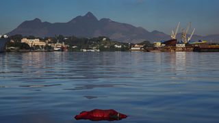 Cadavrele plutesc in apele Golfului Guanabara, acolo unde vor avea loc probele pe apa la JO de la Rio. Inotatorii sunt sfatuiti sa isi "tina gura inchisa" deorece apa este plina de "rahat".