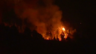 Arhipelagul Canare: 1000 de hectare de padure au fost distruse intr-un incendiu, dupa ce un german a dat foc hartiei igienice folosite. Un padurar si-a pierdut viata