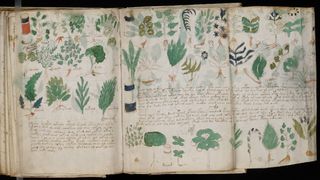 Un manuscris realizat acum 600 de ani si nedescifrat inca va fi reprodus. Cercetatorii spera sa afle secretele misteriosului Voynich