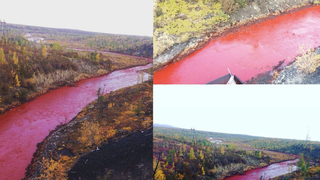 Un rau din Rusia a devenit peste noapte rosu. Oamenii vorbesc despre un posibil accident industrial