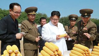 Liderul comunist din Coreea de Nord socheaza din nou! Kim Jong-un se bucura de recolta de "superporumb", in timp ce inundatiile au lasat mii de oameni fara locuinte