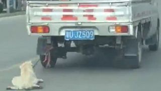 Imagini tulburatoare! Un caine este tarat de o masina pe o strada aglomerata din China