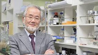 Cercetatorul japonez Yoshinori Ohsumi a castigat premiul Nobel pentru medicina pe 2016 pentru pentru descoperirea mecanismului autofagiei