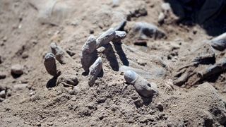 Un mormant urias cu peste 100 de cadavre decapitate a fost descoperit de soldatii irakieni in apropiere de Mosul