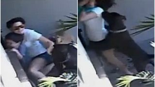 Incident socant! O mama s-a luptat cu doi caini pentru a-si salva copilul din ghearele lor. Tot momentul a fost inregistrat