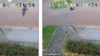 Momentul in care un pescarus se loveste de un stalp si moare, surprins de camerele de supraveghere