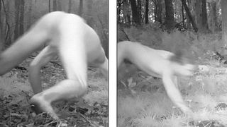 Un tanar de 21 de ani a crezut ca este un tigru siberian dupa ce a luat un drog foarte puternic.