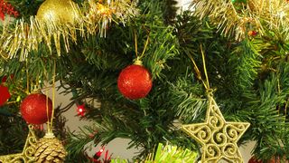 O femeie din Australia a gasit un sarpe veninos in bradul de Craciun: ”Acest sarpe este unul dintre cei mai periculosi"