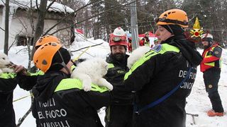 La sase zile de la avalansa din Italia, trei catelusi au fost scosi in viata de sub hotelul prabusit. Imagini emotionante