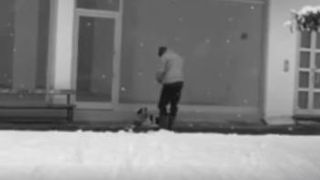 Gestul emotionant facut de un barbat pentru un caine fara stapan. Primarul orasului l-a premiat pentru asta