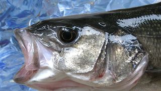 Un educator, concediat dupa ce a fost prins ca a intretinut relatii cu un peste