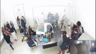 Artistul care "cloceşte" oua de gaina intr-un muzeu parizian are motive de bucurie: primul pui a eclozat marti