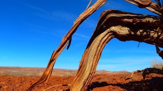 O seceta devastatoare ameninta Europa! Spania si Portugalia ar putea deveni desert