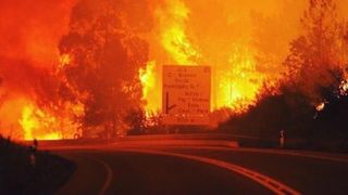 Tragedie intr-o padure din centrul Portugaliei. Sunt 57 de morti si 59 de raniti. "Oamenii au ars de vii in masinile lor", anunta Guvernul