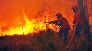 Portugalia a declarat trei zile de doliu national; bilantul incendiului de vegetatie a crescut la 62 de morti