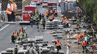 7.000 de gaini au blocat o autostrada aglomerata din Austria