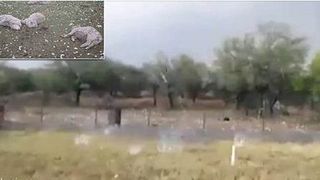 Haos in nordul Spaniei. O furtuna a facut prapad - Grindina cat o minge de golf a omorat mai multe oi