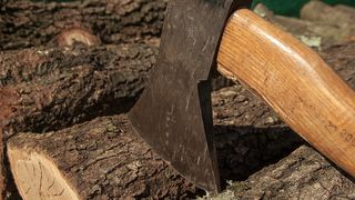 Sapte taietori de lemne decapitati in Filipine de catre islamisti