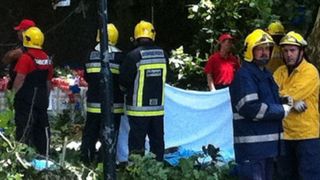 Tragedie in Portugalia! 12 persoane au murit zdrobite de un copac care a cazut peste ele si alte 52 au fost ranite