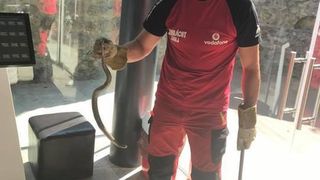 Sursa foto: Salvamont Gorj/News.ro