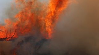 Bilantul victimelor incendiilor de vegetatie din Portugalia si Spania a crescut. Cate persoane si-au pierdut viata