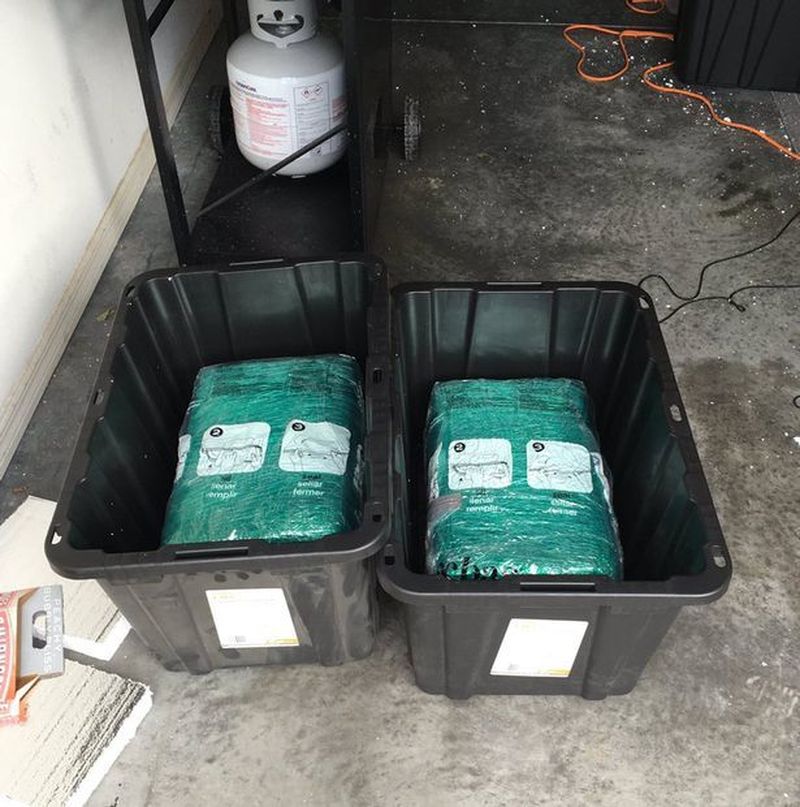 Sursa foto:  JDealWFTV/Twitter