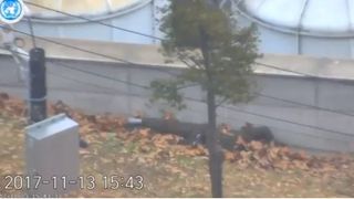 Imagini dramatice care surprind dezertarea militarului nord-coreean in Sud, facute publice de ONU