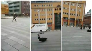 Cod rosu in Olanda! Oamenii au fost efectiv luati pe sus  de vantul puternic - Trei persoane au murit! Copacii au fost smulsi din radacini, acoperisurile spulberate