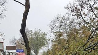 Furtuna a mai facut o victima! Un barbat de 59 de ani a murit in Germania