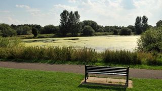O fetita de 11 ani a fost la un pas sa fie violata intr-un parc, in timp ce mergea spre casa de la scoala