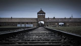 Descoperire impresionanta la Auschwitz. Doua bijuterii de aur au stat ascunse mai bine de 70 de ani pe fundul unei cani