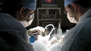 Premiera in lumea stiintifica. Cancerul poate fi tratat cu ajutorul celulelor imunitare ale altor persoane