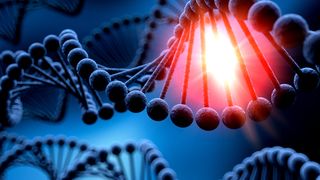 Intalnire secreta la Harvard. Oamenii de stiinta pun la cale crearea primului genom uman sintetic