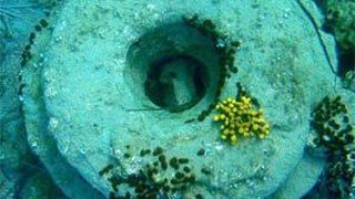 Ce au descoperit cercetatorii care studiau ceea ce parea a fi ruinele unui oras antic. Este o reala surpriza